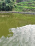護王 鰱鳙魚(yú)漂醒目加粗大物漂魚(yú)漂高靈敏深水湖庫大物漂遠投漂大物漂 D2002-8【3目加粗】吃鉛8.00克 主攻鰱鳙日用大物漂 曬單實(shí)拍圖