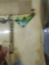 櫻花(SAKURA)彩色針管筆勾線筆 03號(hào)0.35mm(深棕色) 日本進(jìn)口簽字筆繪圖水筆 學(xué)生兒童美術(shù)繪畫描邊手繪設(shè)計(jì) 曬單實(shí)拍圖