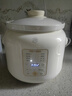 天際（TONZE）電燉鍋 電燉盅家用大升數(shù)煲湯鍋 燉湯滋補養(yǎng)生鍋 煮粥神器 陶瓷內(nèi)膽電煮鍋智能預(yù)約鮮快燉 3L燉鍋丨陶瓷內(nèi)膽丨智能預(yù)約 3L 曬單實拍圖