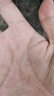 ZOCI適用于24款吉利博越L擋泥板專用改裝配件汽車前后輪胎擋泥皮瓦 吉利博越L 擋泥板-防凍耐磨加厚-4片裝 曬單實(shí)拍圖