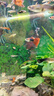 勛貍粑 魚(yú)缸背景紙水族箱壁紙3D高清背景畫(huà)立體裝飾貼畫(huà)仿真底 80cm高152cm長(cháng) 曬單實(shí)拍圖