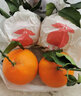 靜益樂(lè )源愛(ài)媛38號果凍橙 四川愛(ài)媛果凍橙 桔橘水果 5斤果王果徑80-85mm 曬單實(shí)拍圖