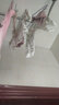 童泰嬰兒套裝春秋純棉寶寶衣服男童女童家居服內衣兒童上衣褲子 綠色大象【肩開(kāi)平腰款-純棉】 73 cm 曬單實(shí)拍圖