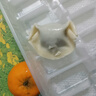 灣仔碼頭薺菜豬肉水餃1800g90只 早餐夜宵速凍餃子面點生鮮半成品 曬單實拍圖