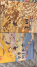 金波四季美文全套4冊注音版 樹(shù)和喜鵲沙灘上的童話(huà)雨點(diǎn)兒陽(yáng)光 小學(xué)生一二年級課外閱讀書(shū)籍兒童詩(shī)選春夏秋冬卷童話(huà)故事書(shū)長(cháng)江少年兒童出版社 曬單實(shí)拍圖