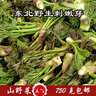 鹿凌青刺老芽新鮮刺嫩芽東北山特產(chǎn)野菜山菜天然保鮮袋裝750g 750克/袋 *1 曬單實(shí)拍圖