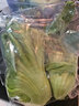東升供港芥菜300g 水通芥菜 上湯炒菜廣州蔬菜新鮮配送 曬單實(shí)拍圖