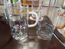 福容（FUROOT）悅享杯玻璃茶杯帶把手泡茶杯家用水杯子防燙風(fēng)景壁畫綠茶杯400ml 武夷山-琥珀 曬單實拍圖