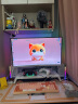 七彩虹 橘猫RTX4060 Ti 主机 13代i5 13400F 联名水冷游戏台式电脑主机整机DIY组装机 配置一：12400F+RTX4060Ti橘猫主机 晒单实拍图