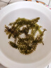 海葡萄泡發(fā)即食兒童新鮮鹽漬裙帶菜綠色魚子醬海藻涼拌壽司食材 新鮮海葡萄【100g*1】送芥末醬油 曬單實拍圖