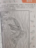 全套10冊隱藏的圖畫(huà)兒童專(zhuān)注力訓練書(shū)找不同3-6歲圖畫(huà)捉迷藏全腦開(kāi)發(fā)2-4-5-7-10歲智力開(kāi)發(fā)益智游戲書(shū)找東西注意力訓練高難度12歲極限視覺(jué)挑戰書(shū) 四大名著(zhù)+恐龍+公主 6本 曬單實(shí)拍圖