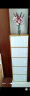 家世华（JIA SHI HUA） 五斗柜收纳柜储物柜卧室立柜家用简易柜客厅靠墙自由组合置物柜窄小柜子 【升级款30cm深】D01S暖白色5层 实拍图