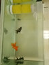 亞峰（yafeng）魚(yú)缸過(guò)濾器過(guò)濾循環(huán)系統小型過(guò)濾泵三合一氧氣泵一體凈水神器內置 25W 【升級款】33CM三層 （帶鴨嘴） 曬單實(shí)拍圖