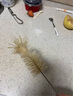 Betta蓓特奶瓶刷貝塔奶瓶刷杯刷天然白馬毛刷子奶瓶刷套裝日本進(jìn)口 馬毛刷套裝 曬單實(shí)拍圖
