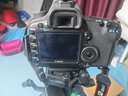 佳能 Canon 5D Mark IV單機5D2 5D3 5D4 6D 6D2全畫(huà)幅二手單反相機 佳能5D Mark II單機/ 5D2(不含鏡頭) 95新 曬單實(shí)拍圖