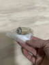 綠田（LUTIAN）洗車(chē)機出水進(jìn)水快速接頭高壓水槍水管快插接口自鎖接頭洗車(chē)配件 1/4自鎖 G20快插【適用E2、E4】 曬單實(shí)拍圖