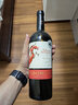 張裕先鋒智利魔獅酒莊格獅馬赤霞珠珍藏干紅葡萄酒  進口紅酒送禮 750ml 曬單實拍圖
