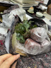 礬根植物盆栽大苗組合套餐室內(nèi)耐寒四季庭院陽臺觀葉小苗花卉綠植 5色套裝隨機 含盆 曬單實拍圖