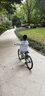 貝仕貝仕未來兒童自行車小孩腳踏車男孩女孩超輕單車3-6歲中大童16寸 金屬銀plus版 20寸 曬單實拍圖