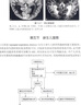 實(shí)用骨關(guān)節(jié)影像診斷圖譜（第二版） 曬單實(shí)拍圖
