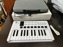 ARTURIAMINILAB3 MK3編曲作曲25鍵MIDI鍵盤 打擊墊控制器 作曲編曲 25鍵標(biāo)準(zhǔn)白色+硬包 曬單實拍圖