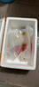 樂(lè )淘逸寵血紅鸚鵡魚(yú)活體發(fā)財魚(yú)財神魚(yú)大型熱帶觀(guān)賞魚(yú)淡水好養 16-18cm紅鸚鵡1條 曬單實(shí)拍圖