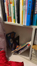【新華書店正版】初中部編人教版9九年級(jí)下冊(cè)道德與法治+歷史課本教材教科書全套2本9年級(jí)下冊(cè)道法歷史書初三下冊(cè)道法世界歷史書 曬單實(shí)拍圖