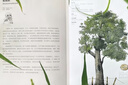 樹(shù)的故事：改變人類(lèi)生活的100種樹(shù) 曬單實(shí)拍圖