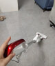 莱克（LEXY） JIMMY莱克高速吉米吸尘器立式手持式宠物家用强劲大吸力大功率有线清洁吸尘机S1025线长5米 实拍图