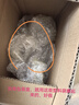 妍詩美官網(wǎng)方旗艦T83肌底水光雙酵套裝補(bǔ)水保濕護(hù)膚品 伊的家（裸瓶 肌底水光雙酵水120ml 曬單實(shí)拍圖