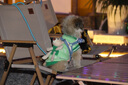 華元寵具（hoopet）狗狗衣服冬季保暖幼犬比熊小狗秋裝博美泰迪小型犬寵物毛衣冬天 【推薦】可愛(ài)小熊毛衣-綠 S：胸圍34cm（建議3-6斤） 曬單實(shí)拍圖