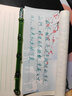 班米（BANMI） 限定版 水墨竹姿系列竹子玻璃筆蘸水筆水晶筆學(xué)生沾水筆套裝手賬筆繪畫(huà)書(shū)寫(xiě)練字 鉉竹 單筆 曬單實(shí)拍圖