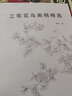 工筆花鳥(niǎo)畫(huà)稿精選 天津楊柳青出版社 陳軍 繪 著(zhù) 書(shū)籍 曬單實(shí)拍圖