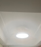 雷士（NVC） 风扇灯LED吊扇灯隐形扇现代简约变频餐厅卧室客厅遥控高显色灯具 星空42寸丨60W全光谱丨米家智控 实拍图