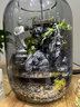 丘辰苔蘚微景觀生態(tài)瓶diy辦公室內(nèi)桌面綠植盆栽臥室植物盆景擺件禮物 （上岸景觀+苔蘚+燈底座+噴壺） 曬單實拍圖