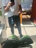 新百倫牛仔褲男韓版潮流休閑百搭春秋新款男士九分褲修身小直筒彈力褲子 復古藍【九分褲】 31 【建議135-145斤】 曬單實(shí)拍圖