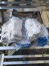 贸正 棉纱线手套 加厚防滑耐磨工地干活作业劳保用品600蓝边10双 实拍图