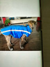 SLPC狗狗衣服金毛大型犬冬季保暖棉衣邊牧哈士奇柯基中型犬秋冬衣服 藍色 2XL建議（19-25斤） 曬單實(shí)拍圖