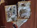 巫記創(chuàng)意琺瑯彩水杯家用無鉛玻璃杯歐式花茶杯女可愛泡茶杯子帶蓋套裝 紅玫瑰矮款+水晶杯蓋+琺瑯勺禮盒 曬單實(shí)拍圖