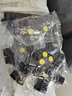 HengTravler冰爪防滑鞋套戶(hù)外登山攀巖雪地行走防滑成人冬季冰面泥地釣魚(yú)鞋釘 10齒防滑鞋套一對裝 L碼（41-46） 曬單實(shí)拍圖