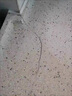 JCZS德國(guó)大理石修復(fù)膏廚房臺(tái)面裂縫修補(bǔ)石英石櫥柜專(zhuān)用膠石材人造石補(bǔ) 大理石 白色100g*1支 送工具 曬單實(shí)拍圖
