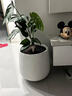 愛(ài)可斯（AIXY）花盆特大號商場(chǎng)大號北歐圓形水泥花盆客廳陽(yáng)臺室外綠植 水泥本色 白色 上口徑44*高45 曬單實(shí)拍圖