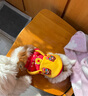 嬉皮狗冬季小狗狗秋冬款衣服寵物小型犬貓咪比熊冬天新年冬裝 背帶虎頭 背帶虎頭 XS 曬單實拍圖