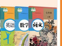 2025秋新版現貨同步解析與測評語(yǔ)文數學(xué)英語(yǔ)道德與法治歷史生物地理物理化學(xué)七八九年級上冊初一二三上冊初中同步練習冊同步解析與測評人教版重慶專(zhuān)版 七上】語(yǔ)文 重慶專(zhuān)版 曬單實(shí)拍圖