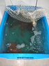 亞峰（yafeng）魚(yú)缸過(guò)濾器過(guò)濾循環(huán)系統(tǒng)小型過(guò)濾泵三合一氧氣泵一體凈水神器內(nèi)置 35W 升級(jí)款 42CM四層/ 標(biāo)準(zhǔn)套餐（帶鴨嘴） 曬單實(shí)拍圖