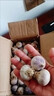 鑫意紫皮獨(dú)頭蒜種子紅皮大蒜頭蒜米蒜苗出蒜苔蒜子蔬菜種子大頭蒜種子 粒粒飽滿約200粒 曬單實(shí)拍圖