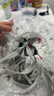 nest designs圣誕系列嬰兒竹棉蓋被兒童蓋毯秋冬被子夾棉四季被 雪橇日記（180*230cm） 曬單實(shí)拍圖