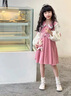 皮爾卡丹（pierre cardin）女童春秋款長(cháng)袖秋季連衣裙舒適休閑兒童秋裝公主裙小女孩秋款裙子 A889粉色 110 cm 曬單實(shí)拍圖