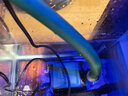 森森森森魚缸變頻水泵大流量潛水泵水族箱抽水泵底濾水泵魚池循環(huán)水泵 25W 靜音 3800L/H+2米20MM水管 曬單實(shí)拍圖