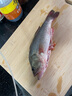 Wifreo路亞8003wacky倒釣鉤泥鰍鉤專(zhuān)用德州釣法翹嘴鱸魚(yú)魚(yú)鉤倒刺魚(yú)鉤 【龍鱗型】50枚 1/0#（釣2-3斤） 曬單實(shí)拍圖
